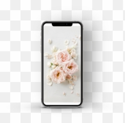 Bundle - Iphone png