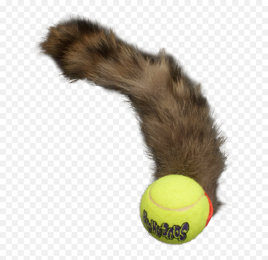 Squeaky Bouncy Tail Ball U2014 Tugawaycuwin - Ball Png,Tennis Ball Png