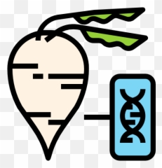 Sugar Beet - Language png