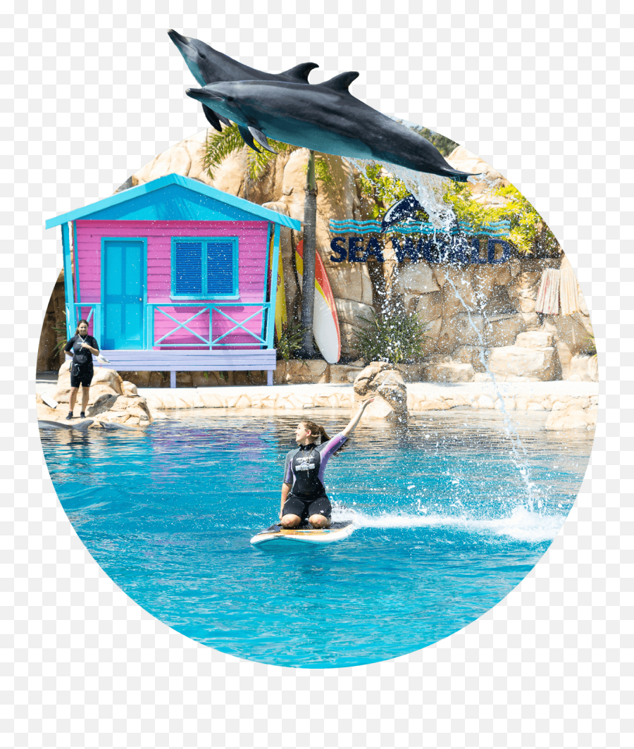 Sea World Destination - Hopo Leisure Png,Seaworld Icon