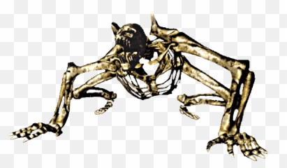 Dark Souls Skeleton Beast Transparent Png - StickPNG Dog