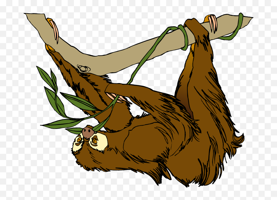 Free Sloth Transparent Background Download Clip Art - Two Toed Sloth Clip Art Png,Sloth Png