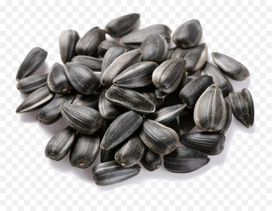 Sunflower Seeds Transparent Png All - Sunflower Seeds,Transparent Sunflower