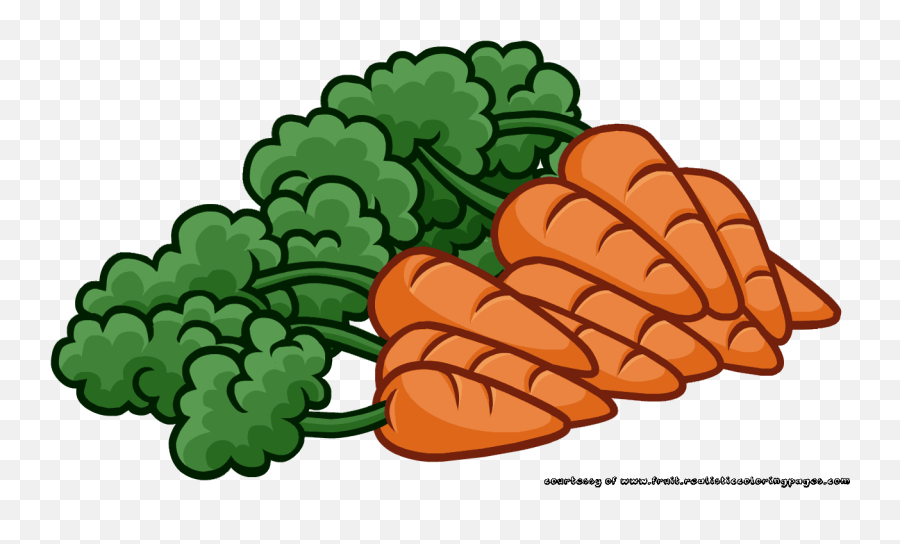 Dumielauxepices - Bunch Of Carrots Clipart Png,Carrots Png