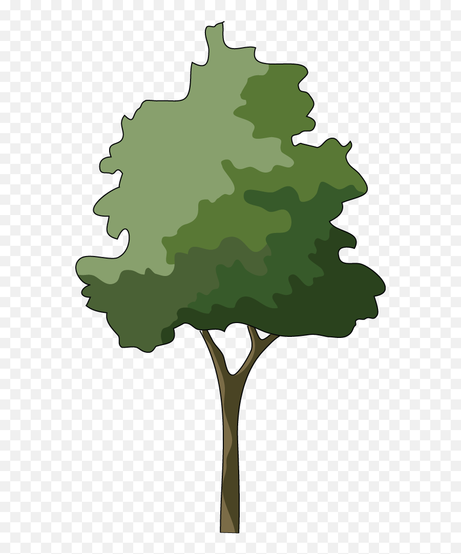 Free Tree Illustration Png Download - Tree Png Elevation Illustration,Tree Illustration Png
