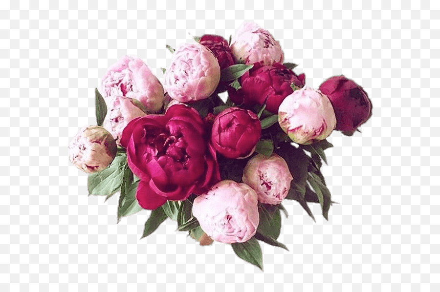 Bouquet Of Peonies Transparent Png - Peony Flowers Bouquet Png,Peonies Png