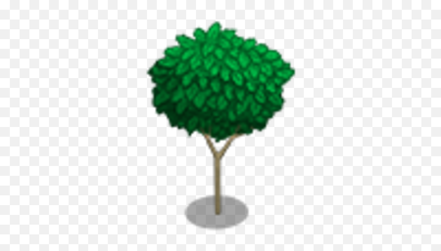Pencil Cedar Tree Farmville Wiki Fandom - Grass Png,Cedar Tree Png