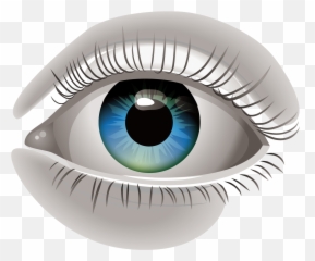 Download Human Eye Euclidean Vector Clip Art - Ojo Humano png