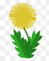 Clipart - Dandelion Art png