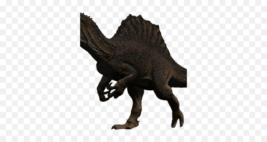 Spinosaurus - Isle Spinosaurus Png,Spinosaurus Png