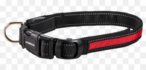Night Walker Glow Led Usb Rechargeable - Transparent Dog Collar Png,Dog Collar Png