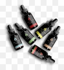Blunt Ploom International Ltd Limted - Solution Png,Blunt Png