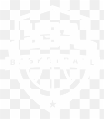 Sports Conroe - Team Usa Basketball Logo Png,Basketball Logo