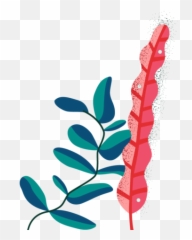 Akua - Twig Png,Kelp Png