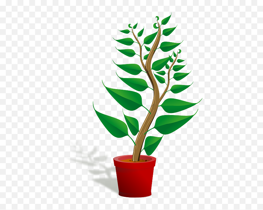 Seedling Potted Plant Sapling - Plant Clipart Png,Seedling Png