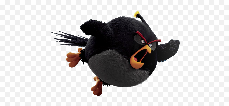 black angry bird flying