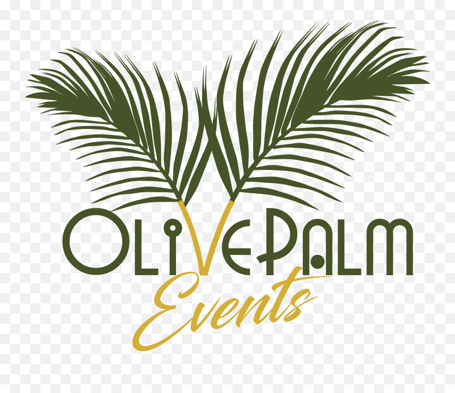 Olive Palm - Olive And Palm Logo Png,Palm Logo
