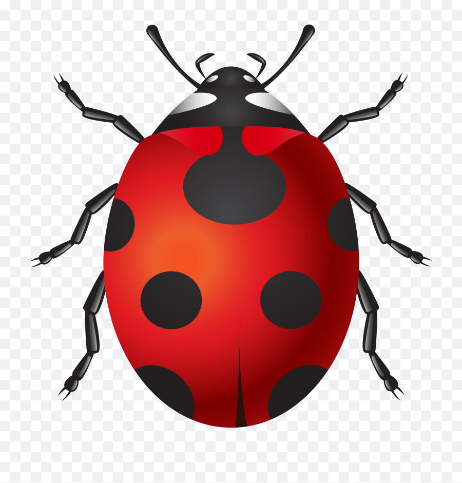 Pin By Nature Ambience - Lady Bug Clipart Png,Bugs Png