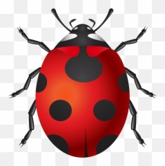 Pin By Nature Ambience - Lady Bug Clipart Png,Bugs Png