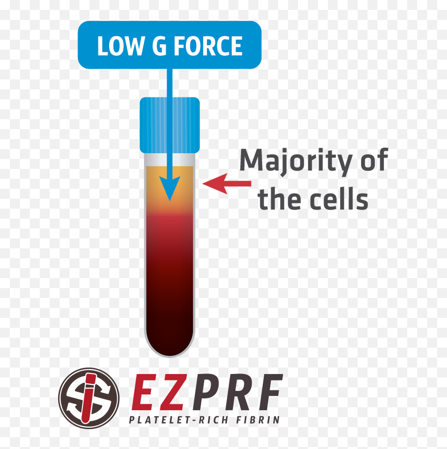 Cosmofrance About Ezprf - Cylinder Png,G Force Icon