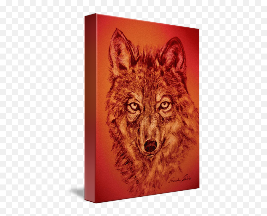 Wolf Red By Sarah Stier - Czechoslovakian Wolfdog Png,Wolf Face Png