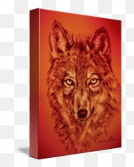 Wolf Red By Sarah Stier - Czechoslovakian Wolfdog Png,Wolf Face Png
