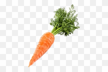 Transparent Background Carrot Png - Transparent Background Carrot Png,Carrot Transparent Background
