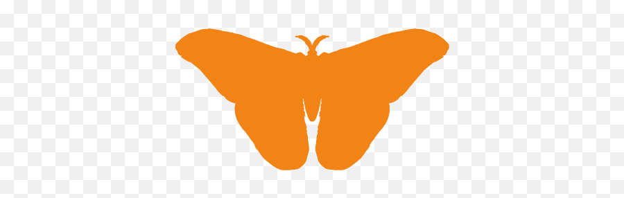 Residential Pest Control London Network For Solutions Png Moth Icon