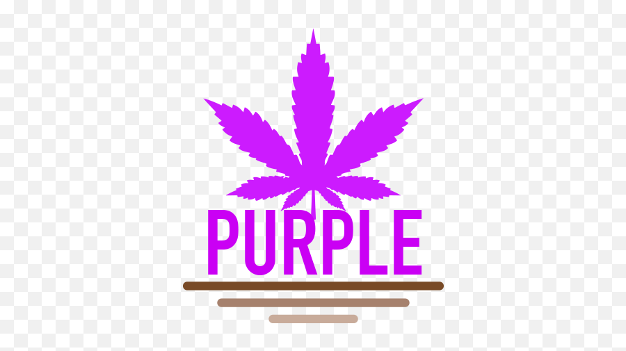 Purple Family Seeds For Sale Green Parrot - Pot Leaf Png,Purple Parrot Icon