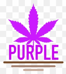 Purple Family Seeds For Sale Green Parrot - Pot Leaf Png