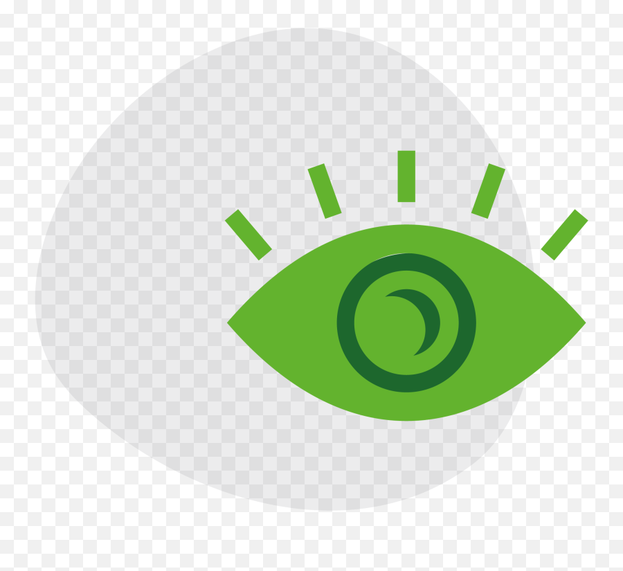 Our Purpose - Eye With Eyelash Vector Png,Our Vision Icon