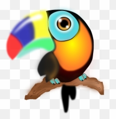 Tucan Bird Parrot Png