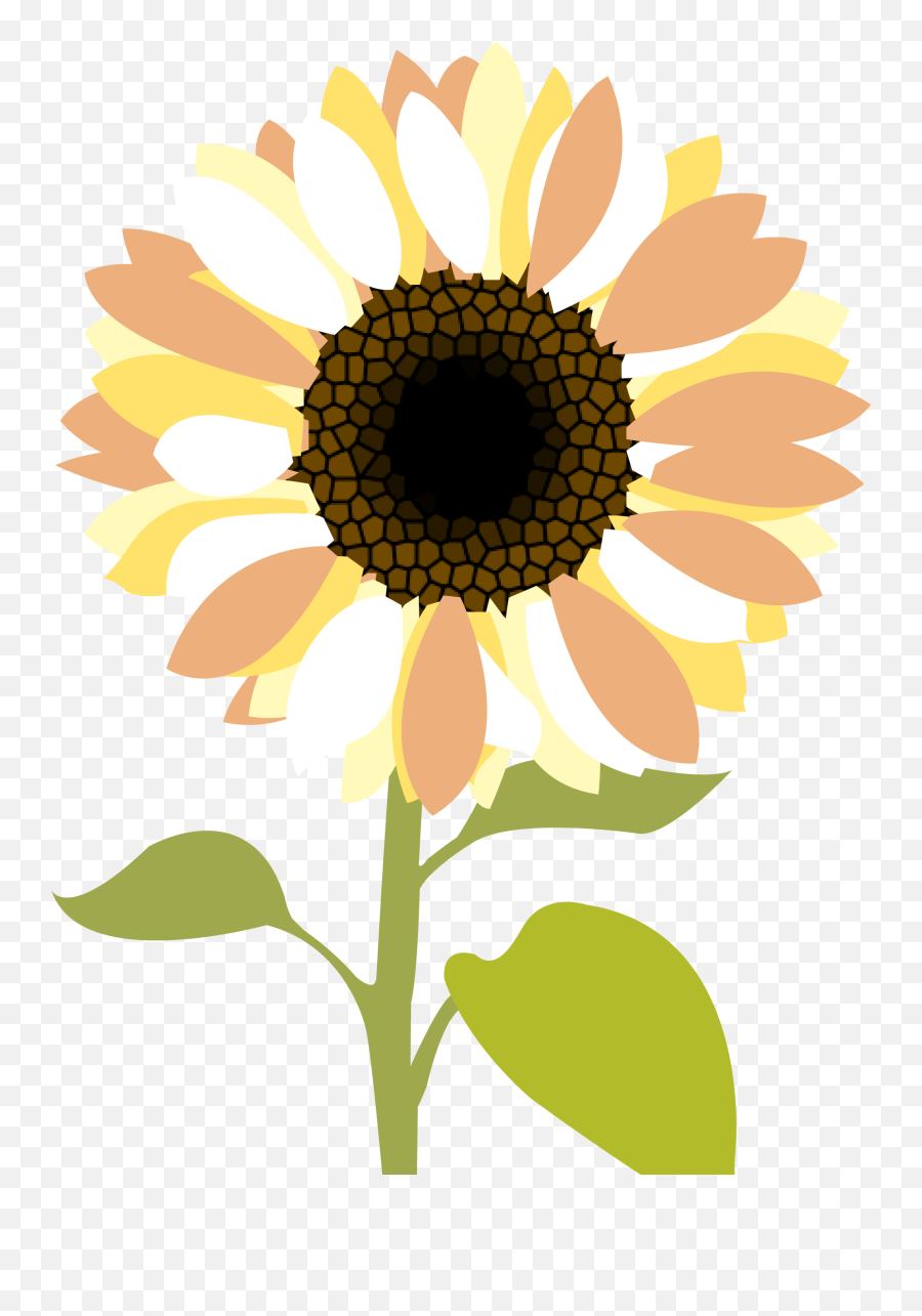 Free Sunflower Clipart Transparent Background Download - Clip Art Png,Transparent Sunflower