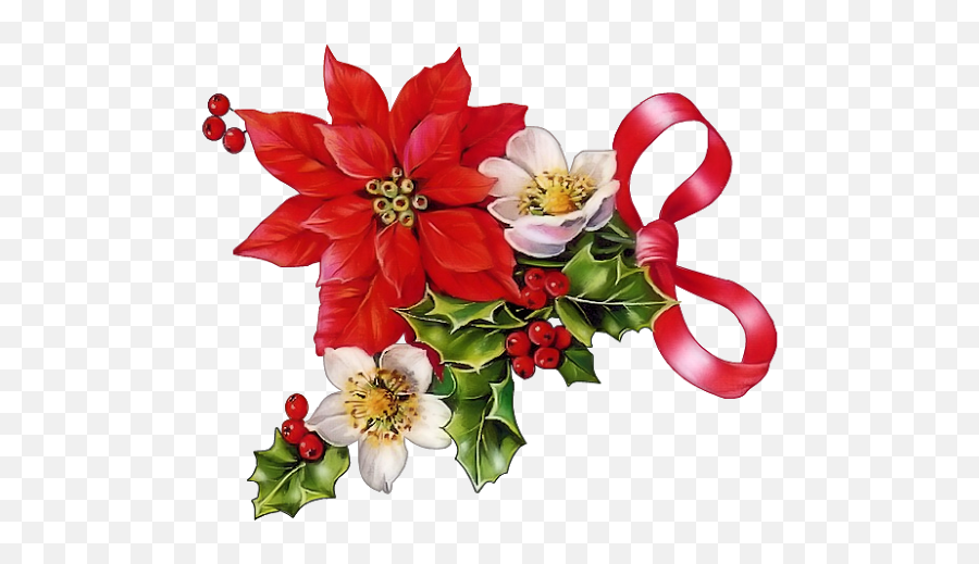 Poinsettias Clipart Christmas Rose - Christmas Poinsettia Clipart Png,Poinsettia Png