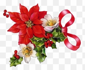 Poinsettias Clipart Christmas Rose - Christmas Poinsettia Clipart Png,Poinsettia Png