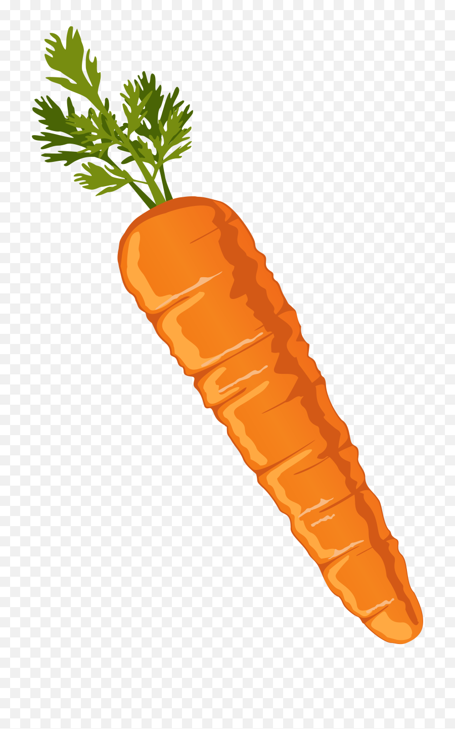 Download Hd Food Clipart Carrot Drawing Carrots Clip Art - Carrot Clipart Png,Food Clipart Transparent Background