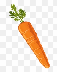 Download Hd Food Clipart Carrot Drawing Carrots Clip Art - Carrot Clipart Png,Food Clipart Transparent Background