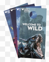 Walt Disney World U2014 Libby Stankaitis Design Png