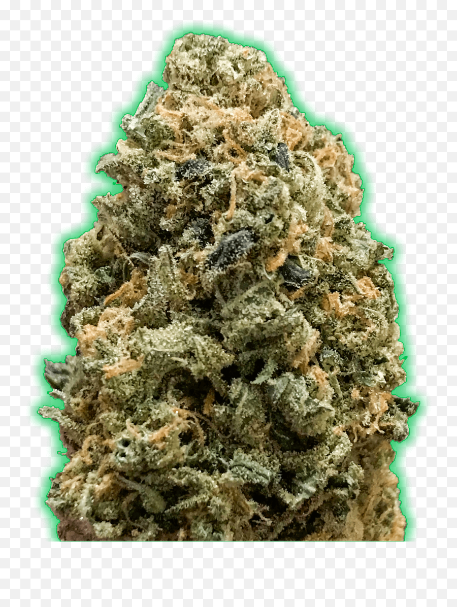 Monster Bruce Banner Feminised Seeds De - Sungrown Biscotti Connected Png,Bruce Banner Png