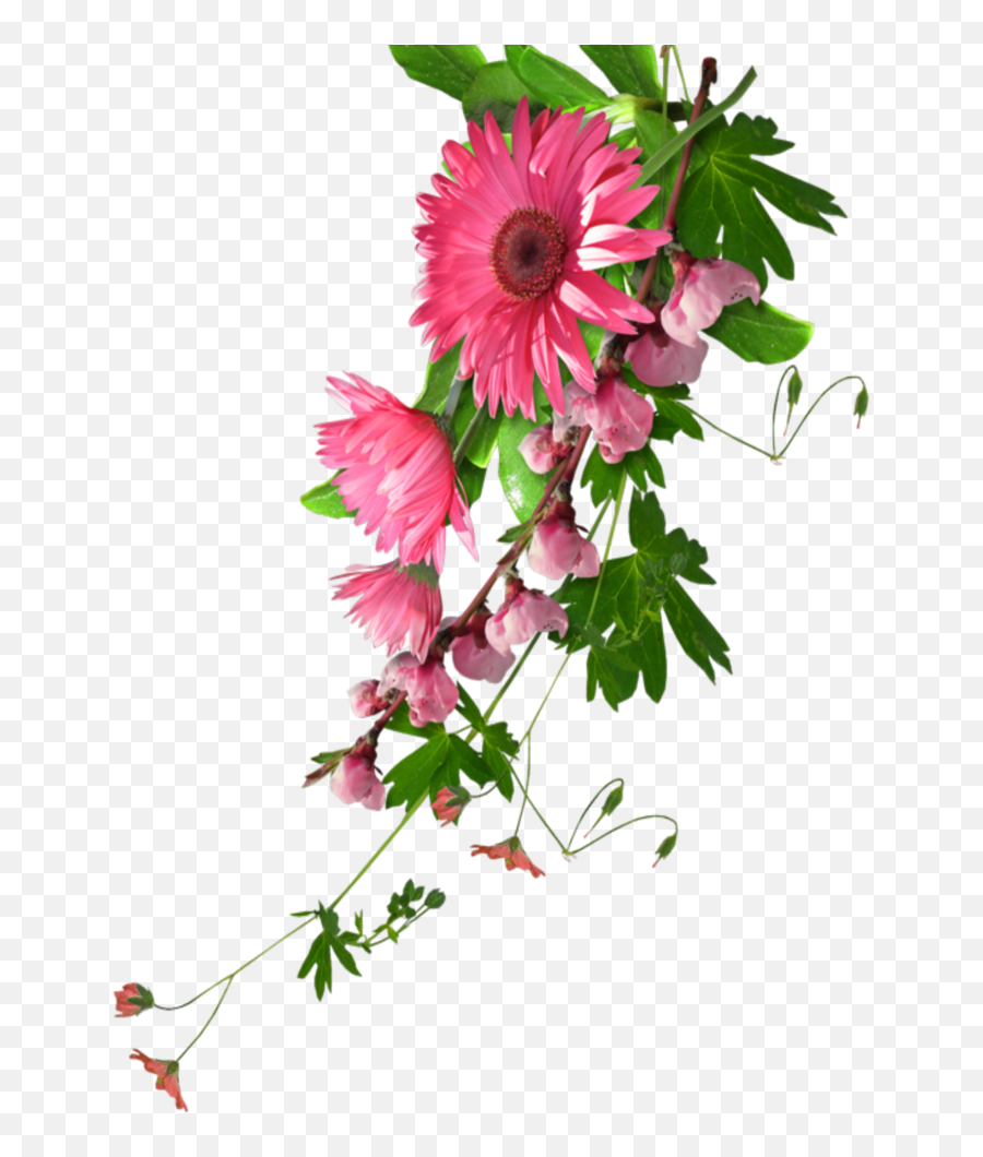 Mq Pink Flowers Flower Garden Nature - Real Flowers Clip Art Free Png Real Flowers,Garden Flowers Png