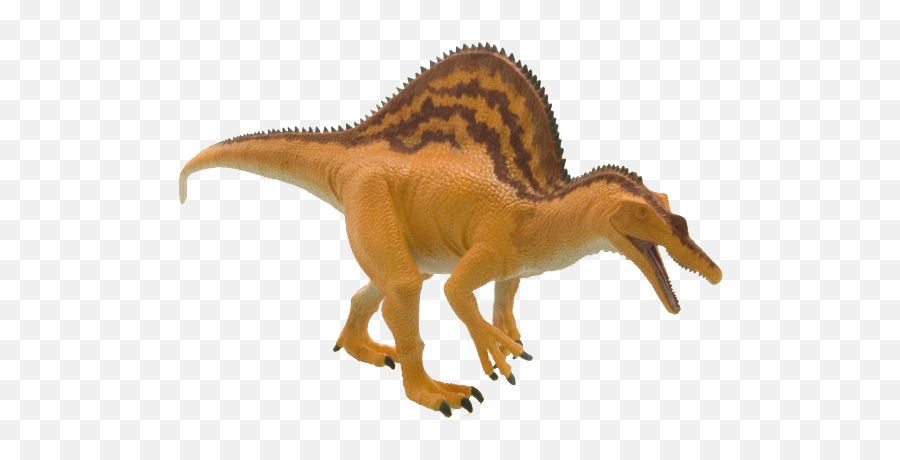 Download Spinosaurus Png Image With No - Animal Figure,Spinosaurus Png