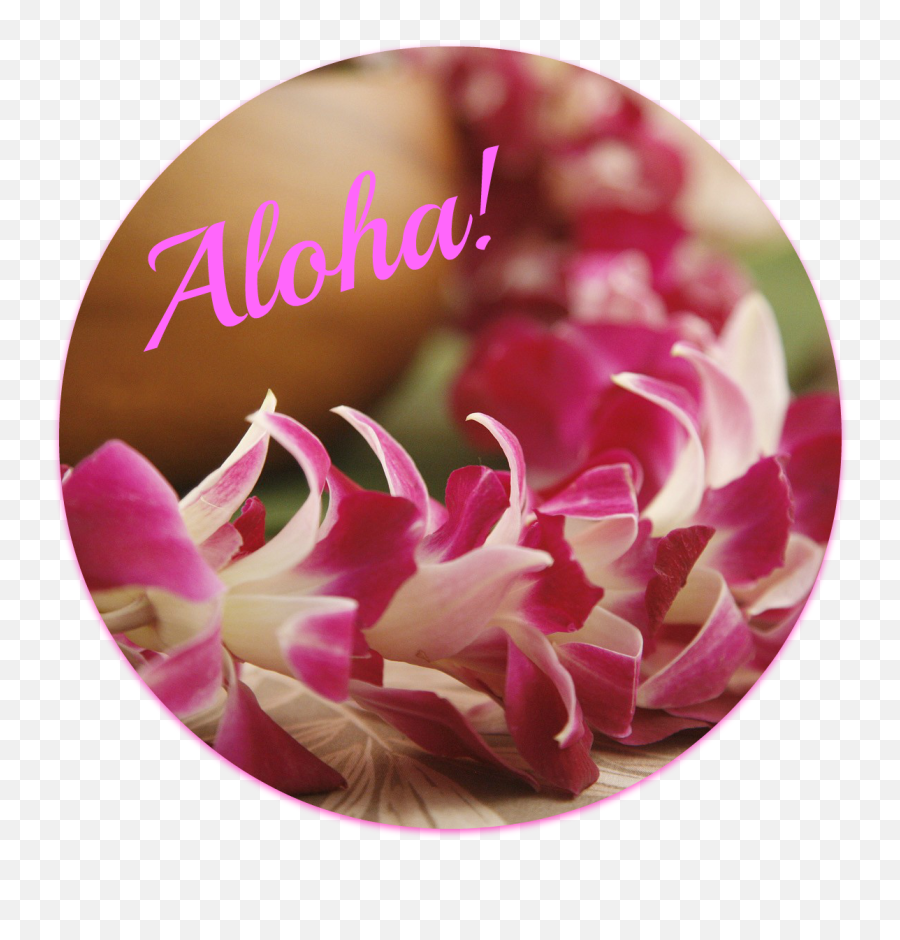 Lei Is - Wianek Z Hawajskich Kwiatow Png,Lei Png