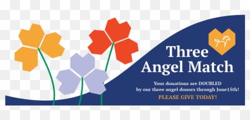 Three Angel Match Whiteponyexpress - Language png