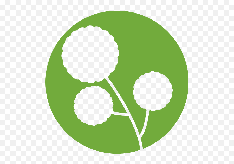 Flower Natural Icon - Dot Png,All Natural Icon