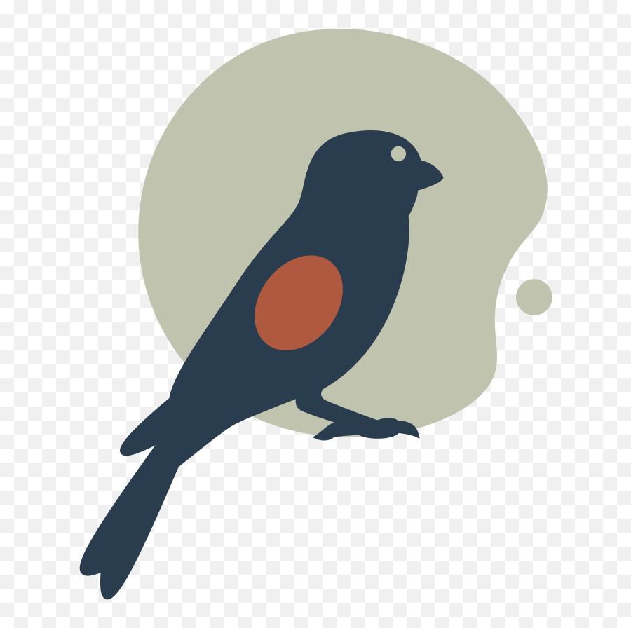 Blog - Salon Society Salon Society Old World Flycatchers Png,Clean Wholesome Icon