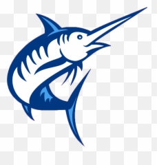 Marlin Fish Vector Free - Marlin Fish Png,Marlin Png