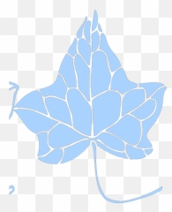 Ivy Leaf Png Svg Clip Art For Web - Download Clip Art Png Sugar Maple,Ivy Icon