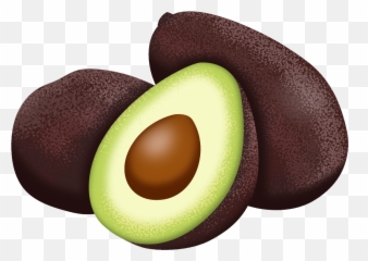 Gift Card - Avocado Trees For Sale Multiple Types u0026 Varieties Hass png