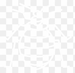 The Bug Man Iowa Website Png