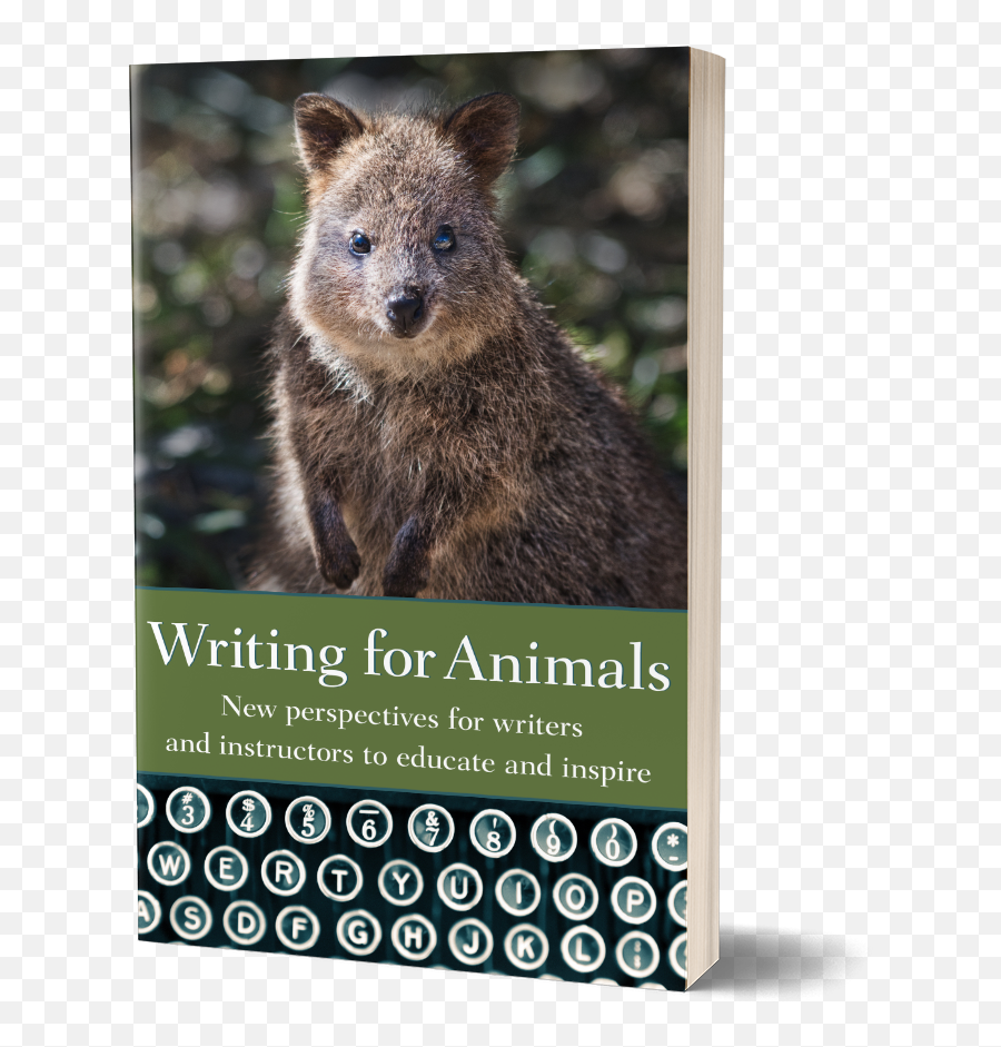 Animal Png - Cover Writing For Animals Writing For Animals Writing For An Anthology For Writers And Instructors To Educate And Inspire,Animals Png